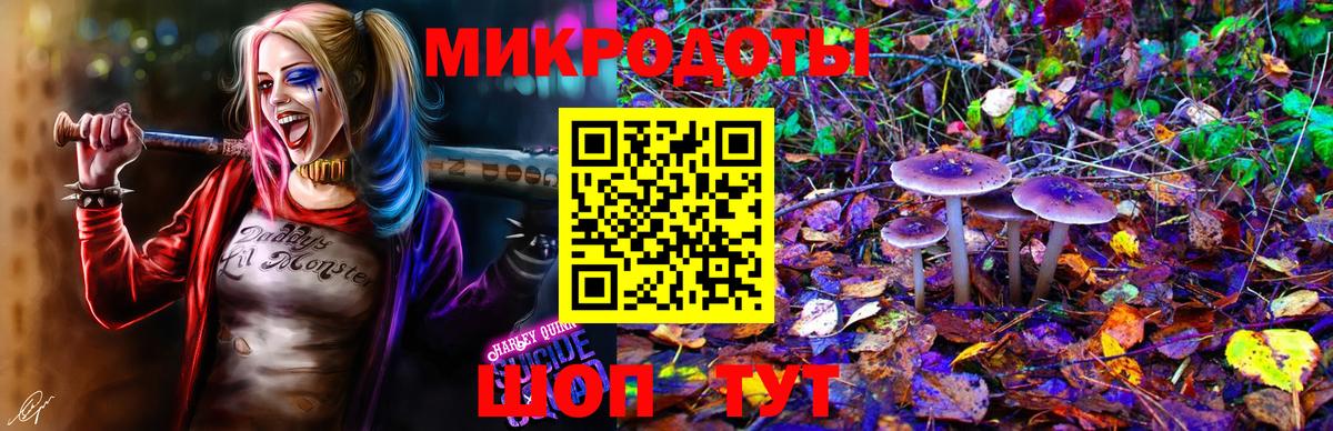 Псилоцибиновые грибы GOLDEN TEACHER Ступино