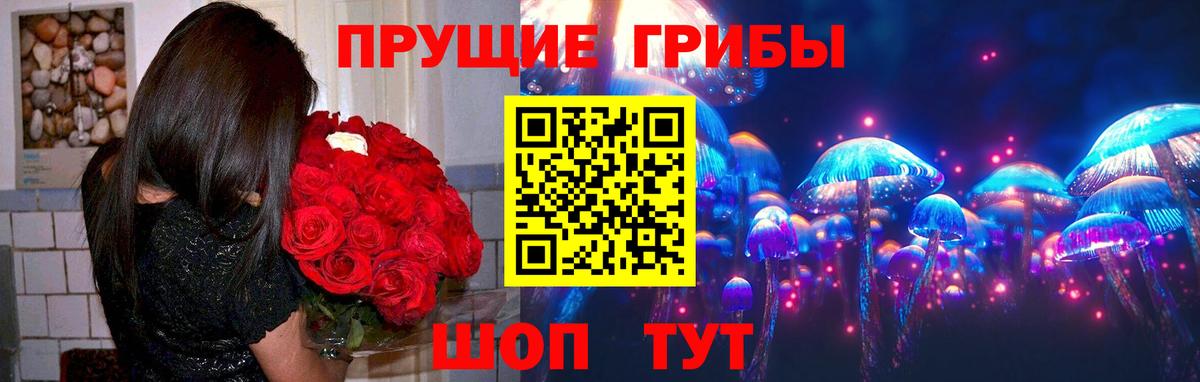 Ступино  Псилоцибиновые грибы MAGIC MUSHROOMS  Вход с VPN 